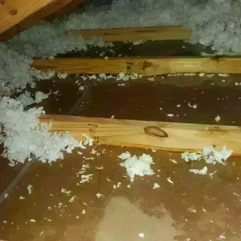 Attic Water Damage in Woodstock, ME